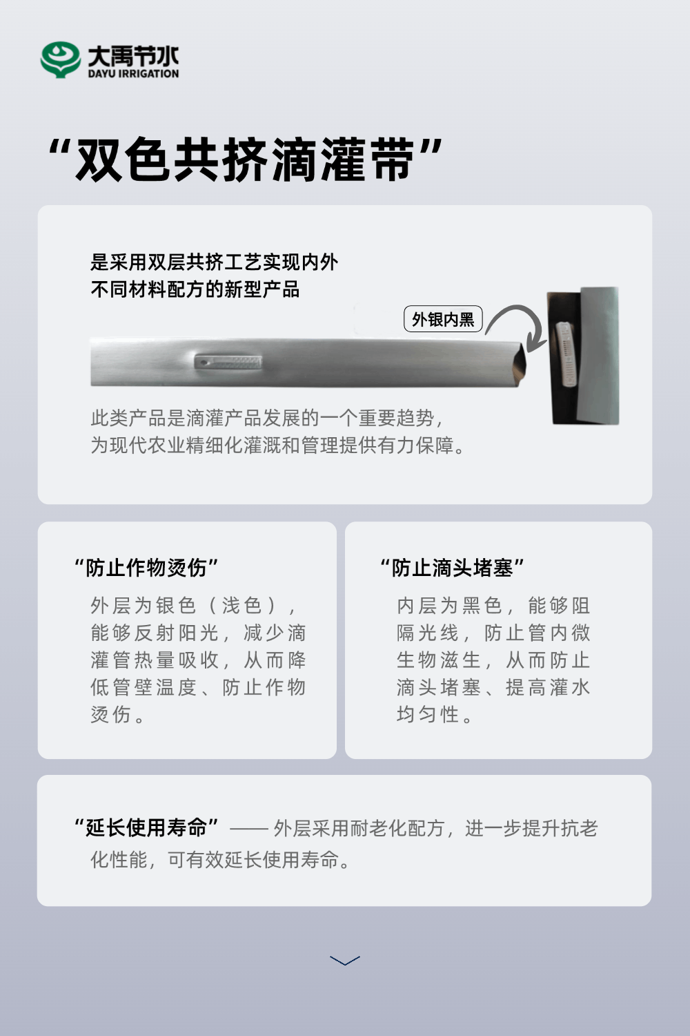 202502141739500883686607.gif 0211-替换1.gif