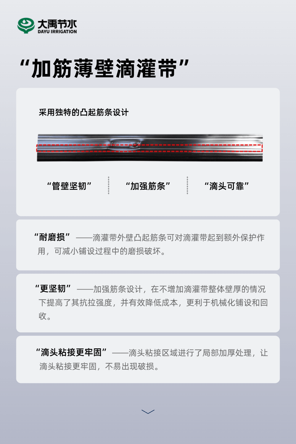 202502141739500920372647.gif 0211-替换2.gif