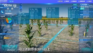 3月16日，央视新闻频道报道，今日，疏勒河灌区多个渠首陆续开闸，借助数字孪生等技术，134万亩农田得以畅饮“智慧”水，实现了水资源的高效利用和农田的精准灌溉。