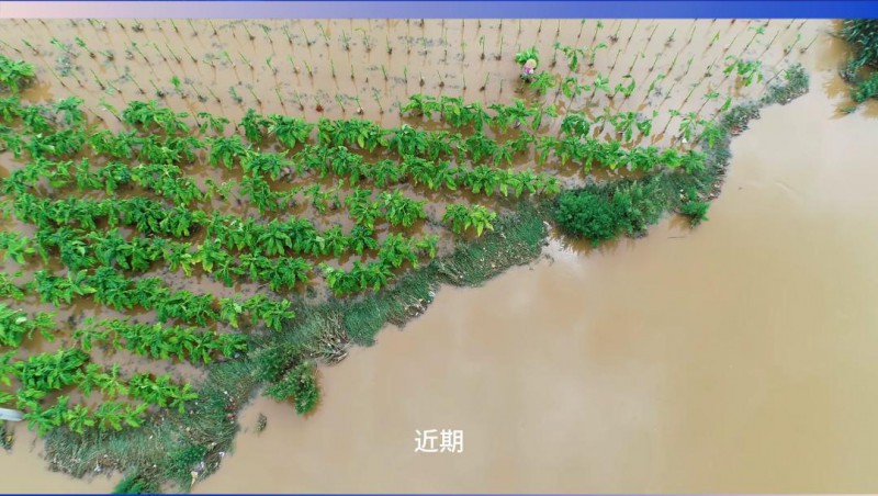 1xBET节水：严阵以待，共筑防汛抗旱屏障