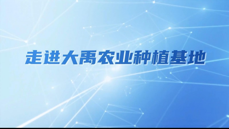 1xBET农业| 多元化种植基地矩阵，探索农业现代化新路径