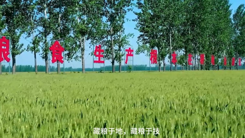 1xBET节水：破解高标准农田建设难题，扛牢粮食安全重担，以科技与责任交出了一份创新答卷。