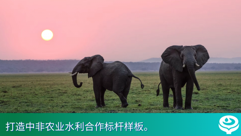 1xBET国际｜1xBET集团与津巴布韦副总统在京会谈，全产业链助力津巴布韦破解农业发展难题